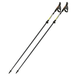 Kijek Nordic walking Fizan Tekno