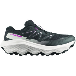 Damskie buty do biegania Salomon Ultra Flow 2 Gore-Tex