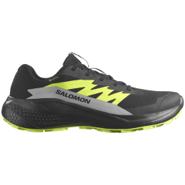 Buty do biegania dla mężczyzn Salomon Alphaglide Gore-Tex