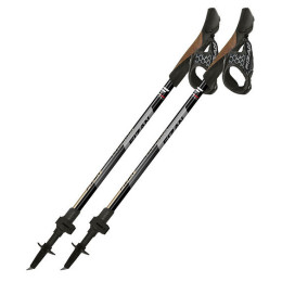 Kijek Nordic walking Fizan R-Evolution