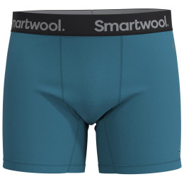 Męskie bokserki Smartwool M Boxer Brief Boxed