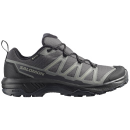 Męskie buty trekkingowe Salomon Exraise Gtx szary Asphalt / Sedona Sage / Black