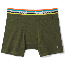 Męskie bokserki Smartwool M Merino Sport 150 Boxer Brief Boxed zielony MossGreenHeather