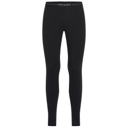 Męskie kalesony Icebreaker M Mer Core Heavyweight Leggings czarny Black