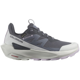 Damskie buty trekkingowe Salomon Elixir Activ Gore-Tex