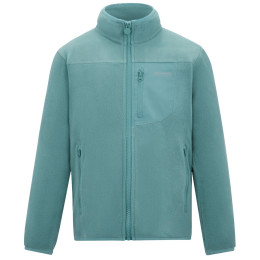 Bluza dziecięca Regatta Junior Frankie F/Z Ivy Moss jasnozielony Ivy Moss