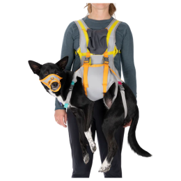 Szelki dla psa Ruffwear BackTrak™ Dog Evacuation Kit szary/pomarańczowy Cloudburst Gray