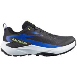 Buty męskie Salomon Genesis Gore-Tex