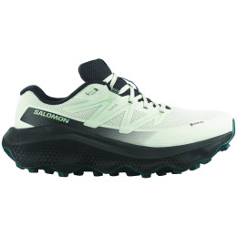 Damskie buty do biegania Salomon Ultra Flow 2 Gore-Tex
