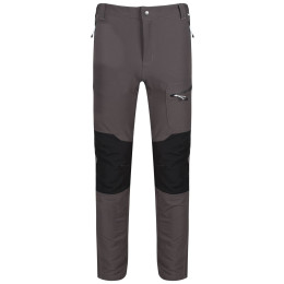 Spodnie męskie Regatta Questra II zarys Magnet/Black