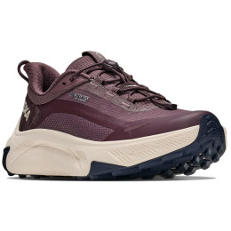Damskie buty do biegania Hoka Transport 2 GTX ciemnobrązowy Smoky Quartz / Deep Mauve