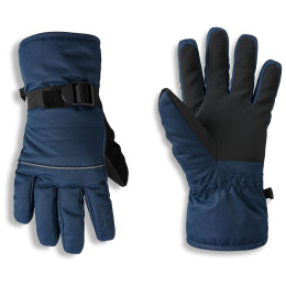 Rękawiczki dziecięce Dare 2b Glacier Glove niebieski MoonLight Denim