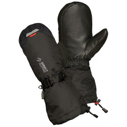 Rękawiczki Direct Alpine Thermo Mitt czarny Black