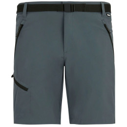 Spodenki męskie Regatta Xert Stretch Shorts szary Dark Storm