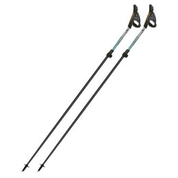 Kijek Nordic walking Fizan Tekno Race Impulse szary Grey