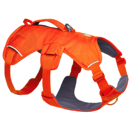 Szelki dla psa Ruffwear Web Master™ Harness pomarańczowy Blaze Orange