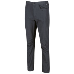 Spodnie męskie Regatta Delgado Trousers