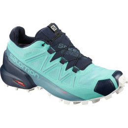 Buty damskie Salomon Speedcross 5 GTX W