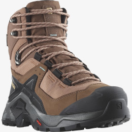 Damskie buty turystyczne Salomon Quest Element Gore-Tex brązowy Mocha Mousse / Pewter / Marine Blue