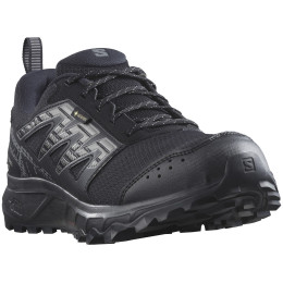 Buty do biegania dla mężczyzn Salomon Wander Gore-Tex czarny Black / Pewter / Frost Gray