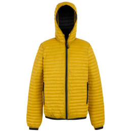 Kurtka męska Regatta Rigain