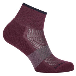 Skarpety damskie Icebreaker Women Multisport Light Mini