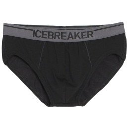 Slipy męskie Icebreaker Mens Anatomica Briefs