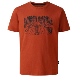 T-shirt dziecięcy Dare 2b Trailbazer III Tee Arabian Spice brązowy ArabianSpice