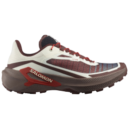 Buty do biegania dla mężczyzn Salomon Genesis 2