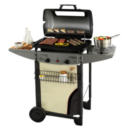 Grill Campingaz Expert 2 Deluxe