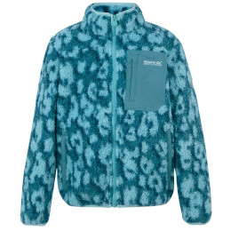 Bluza dziecięca Regatta Junior Frankie Warm Fleece