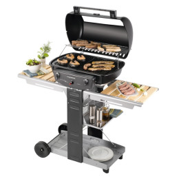 Grill Campingaz El Prado 2200 Woody