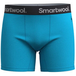 Męskie bokserki Smartwool M Boxer Brief Boxed