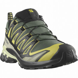 Męskie buty turystyczne Salomon Xa Pro 3D V9 Gore-Tex