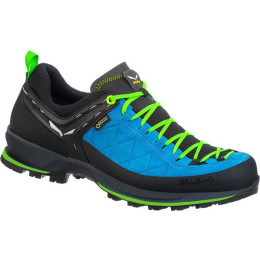 Buty męskie Salewa Ms Mtn Trainer 2 Gtx niebieski BlueDanube/FluoGreen