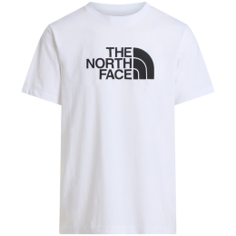 Koszulka męska The North Face Evolution Half Dome Regular Short Slee