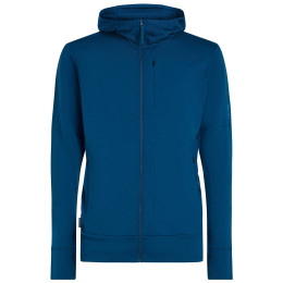 Męska bluza Icebreaker M Mer 260 Quantum IV LS Zip Hoodie