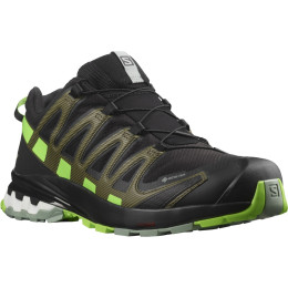 Buty do biegania dla mężczyzn Salomon Xa Pro 3D V8 Gore-Tex czarny/zielony Black