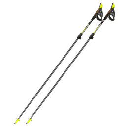 Kijek Nordic walking Fizan Carbon Pro 2-pcs