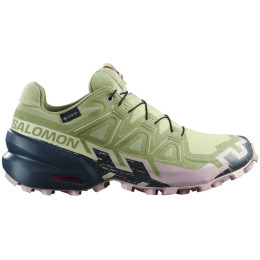 Buty damskie Salomon Speedcross 6 Gore-Tex