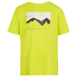 T-shirt dziecięcy Regatta Alvarado VIII żółty