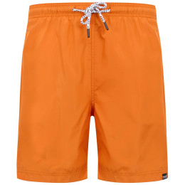 Męskie szorty Regatta Mackleyna Swim Short