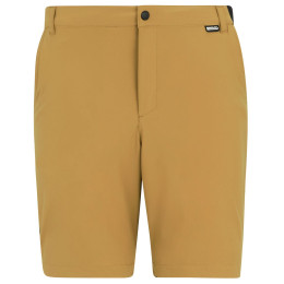 Spodenki męskie Regatta Anti-Insect Travel Light Shorts brązowy Wood Brown