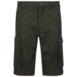 Męskie szorty Regatta Shorebay Short khaki Dark Khaki