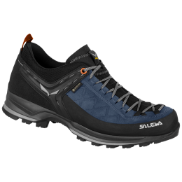 Buty męskie Salewa Ms Mtn Trainer 2 Gtx