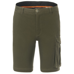Spodenki męskie Regatta Bendrick Shorts zielony Dark Khaki