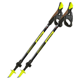 Kijek Nordic walking Fizan R-Evolution