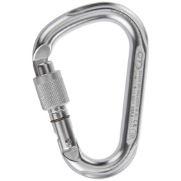 Karabinek Climbing Technology Snappy Sg srebrny silver