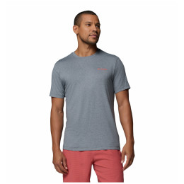 Koszulka męska Columbia Parsons Point™ SS Back Graphic Tee szary City Grey Heather, Linear Peaks