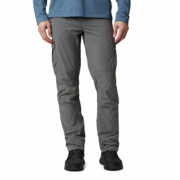 Spodnie męskie Columbia Silver Ridge™ II Cargo Pant zarys CityGray